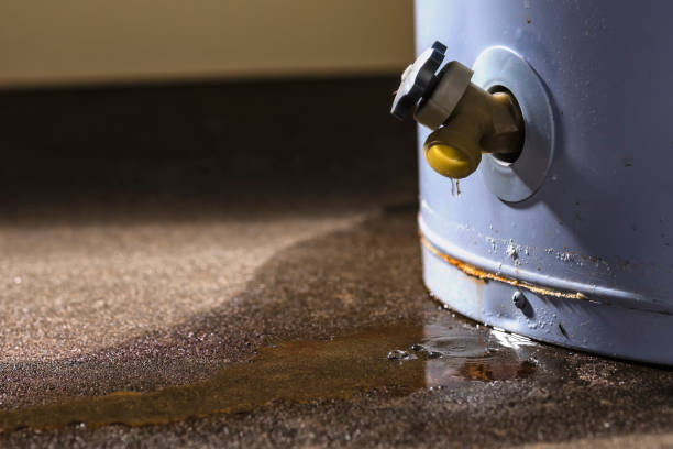 Best Water damage restoration near me  in Easton, MD