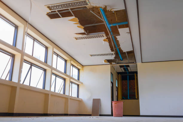 Best Water damage restoration process  in Easton, MD