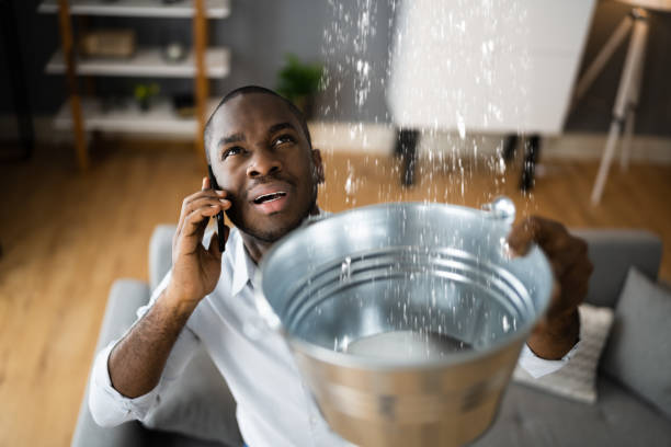 Best Water damage repair service  in Easton, MD
