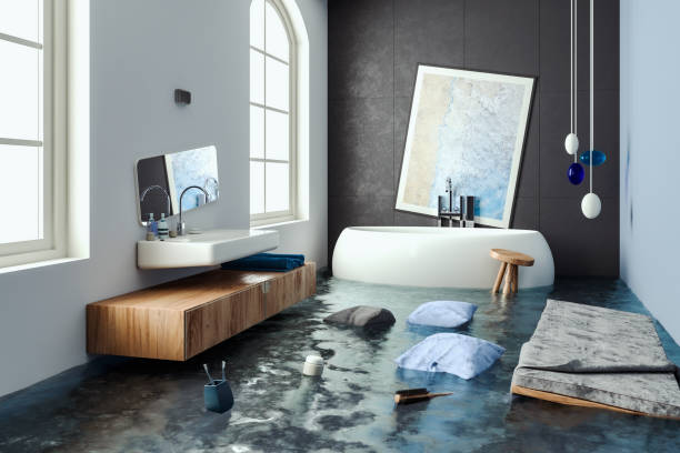 Best Water damage restoration mold remediation  in Easton, MD