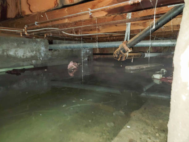 Best Emergency water damage restoration  in Easton, MD