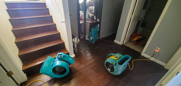 Best Emergency water damage restoration  in Easton, MD