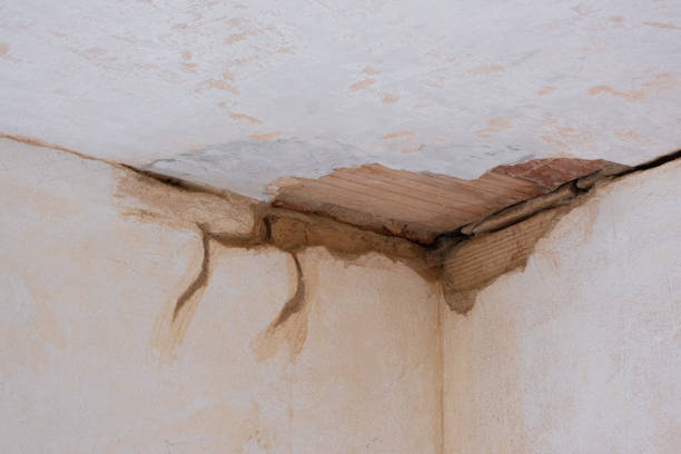  Easton, MD Water damage restoration Pros