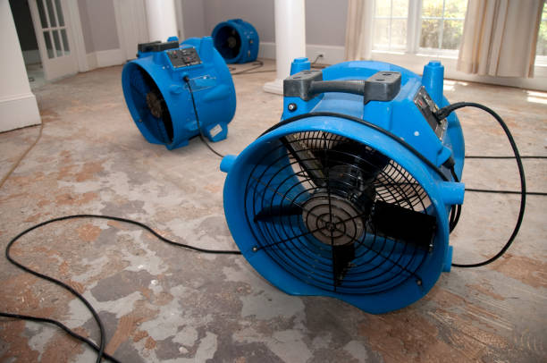 Best Mold removal after water damage  in Easton, MD