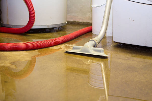 Best Flood damage cleanup  in Easton, MD