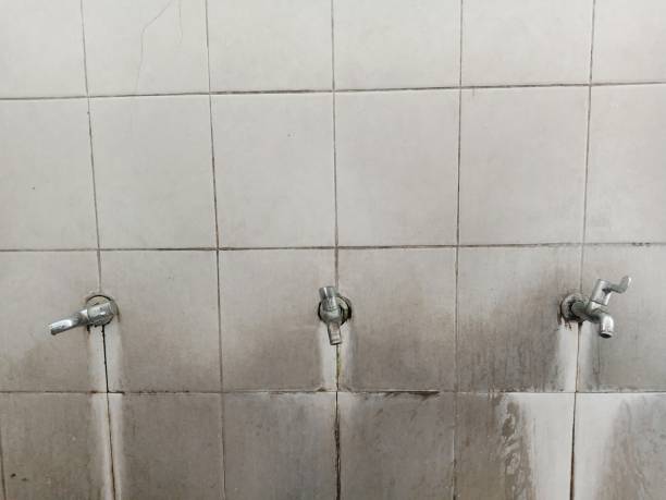 Water damage restoration mold remediation in Easton, MD