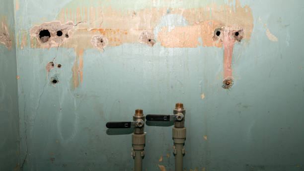Best Water damage restoration company  in Easton, MD