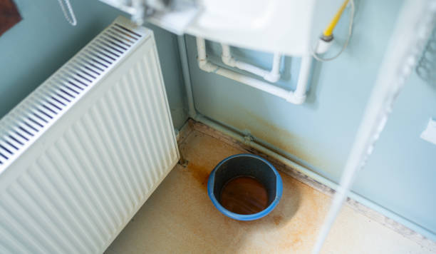 Best Water damage restoration services  in Easton, MD