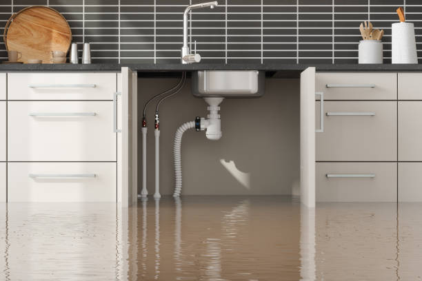 Best Mold removal after water damage  in Easton, MD