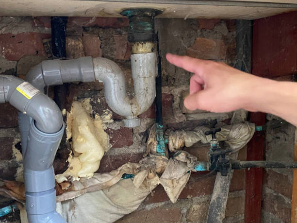 Best Water damage restoration insurance claims  in Easton, MD