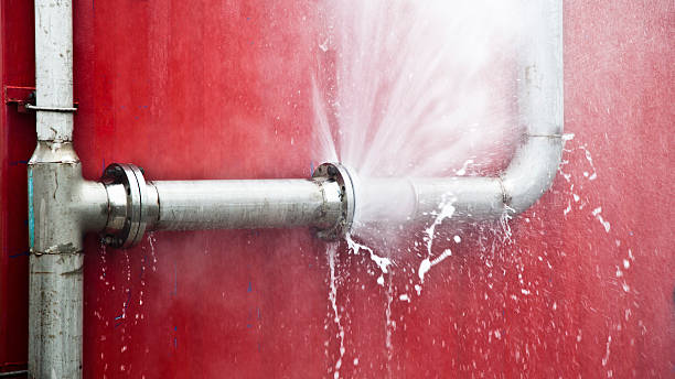 Best Water damage cleanup near me  in Easton, MD
